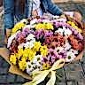 25 кустовых Хризантем