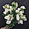 Эустома 5шт под ленту