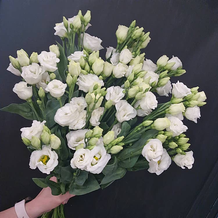 Эустома 15шт под ленту